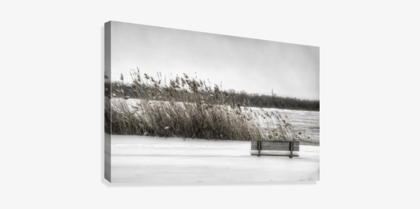Winter Scene Canvas Print - Snow, transparent png #4201259