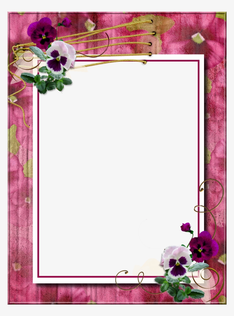 Picture Frame, transparent png #4202464