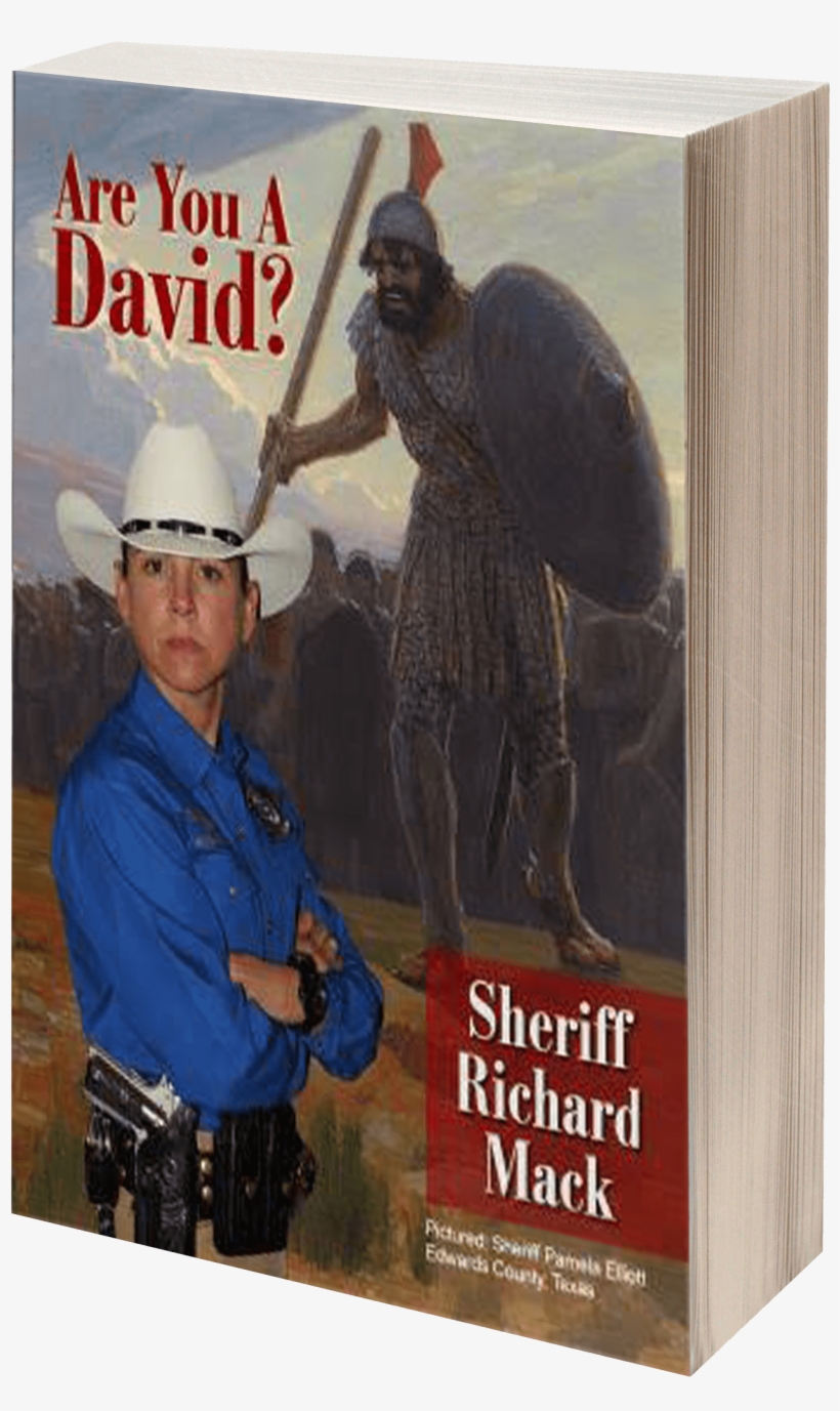 Are You A David - You A David?: America's Last Hope [book], transparent png #4203117
