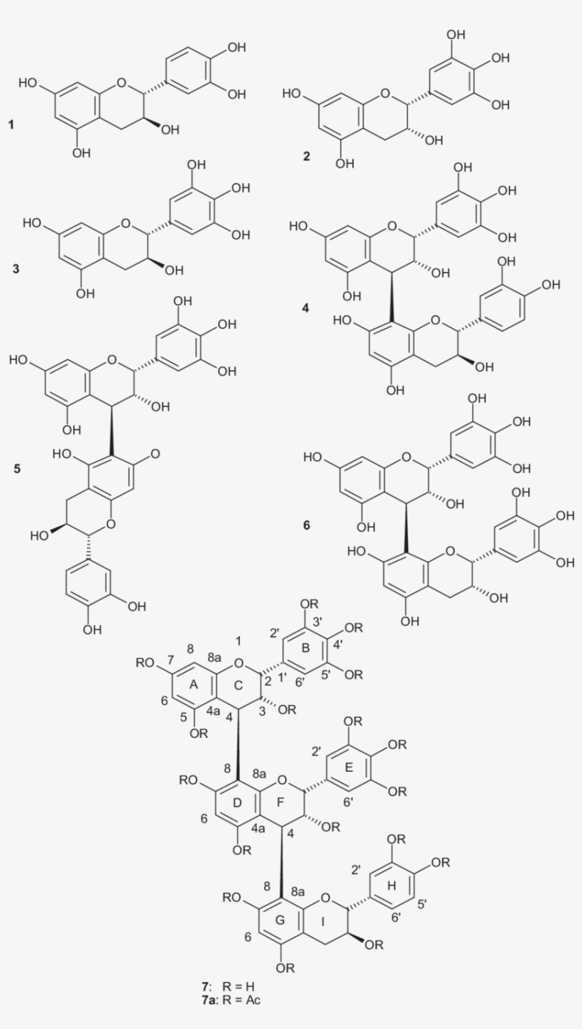 Chemical Structures Of The Isolated Compounds From - Science, transparent png #4203146