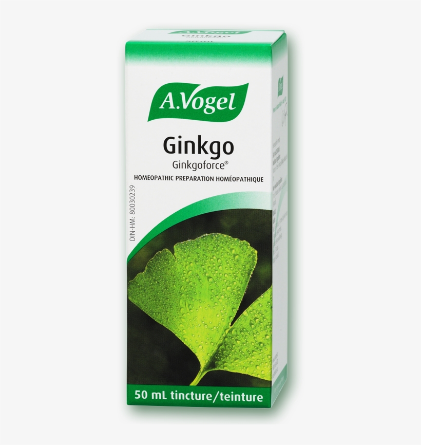 Vogel Ginkgoforce Fresh Ginkgo Biloba Extract - Choline Plus Ginkgo Biloba Syrup, transparent png #4203167