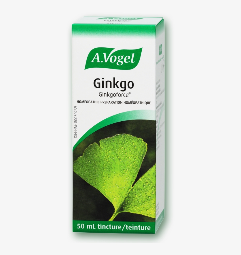 Vogel Ginkgoforce Fresh Ginkgo Biloba Extract Choline Plus Ginkgo