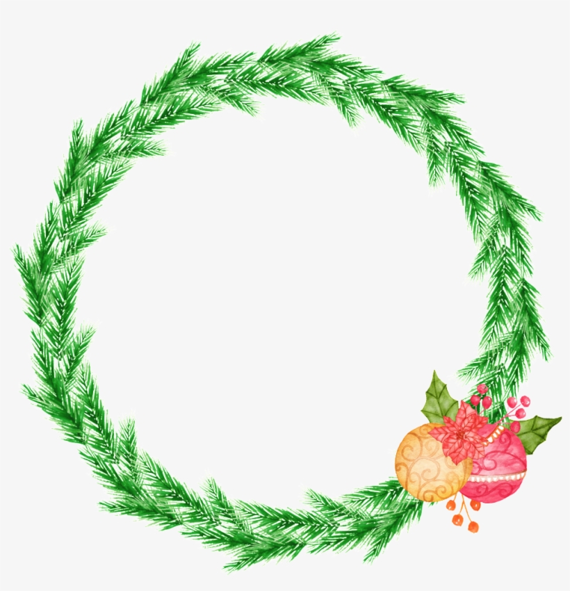 Planta Tropical Corona Png Transparente - Portable Network Graphics, transparent png #4203406