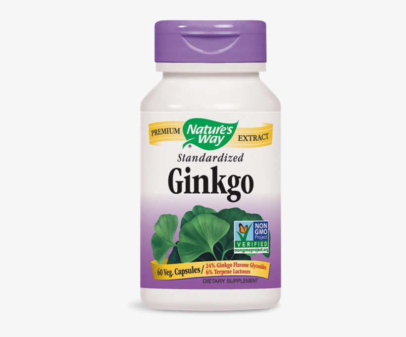 61600 - Ginkgo Standardized - Nature's Way Cranberry, transparent png #4203760