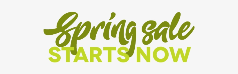 Spring Sale Starts Now - Instagram, transparent png #4203826