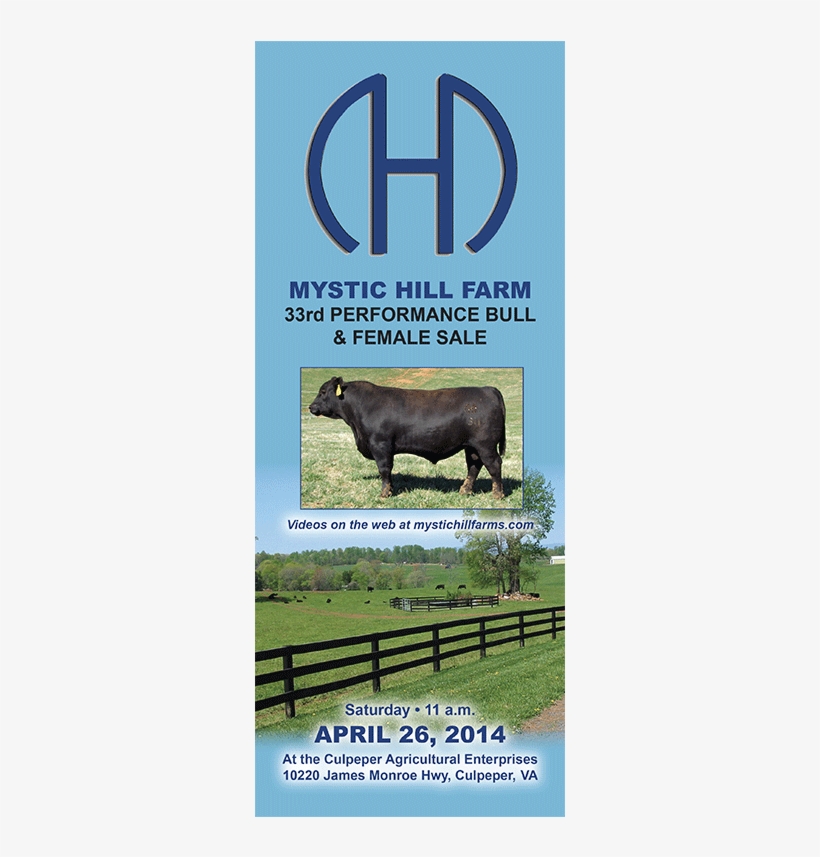 Mystic Hill Farm 33rd Performance Bull And Female Sale - Mystic Hill Farms, transparent png #4204031
