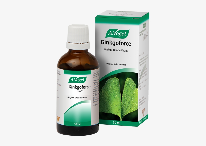 Cystoforce Vogel, transparent png #4204204