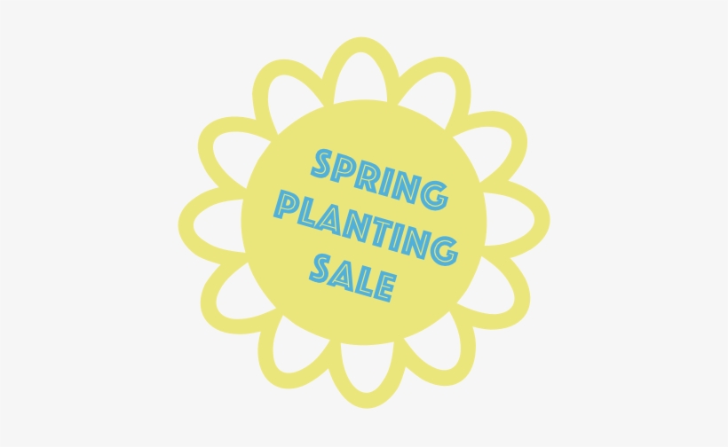 2018 Spring Planting Sale - Dj Caribe Dance Mix, Rey Falco Pandilla X / Verano, transparent png #4204280