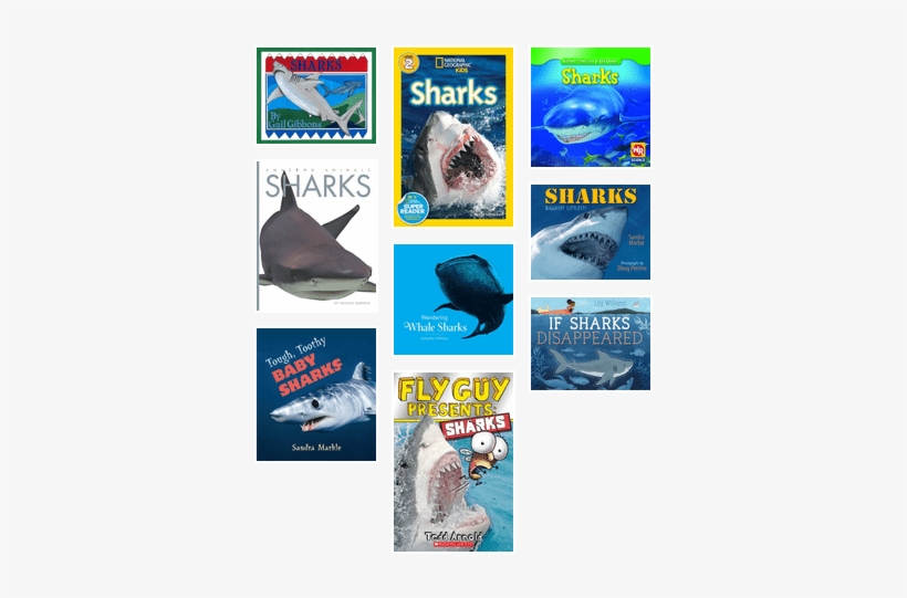 Sharks For Grades 1-3, From Multcolib My Librarian - National Geographic Readers Sharks Science Reader Level, transparent png #4204603