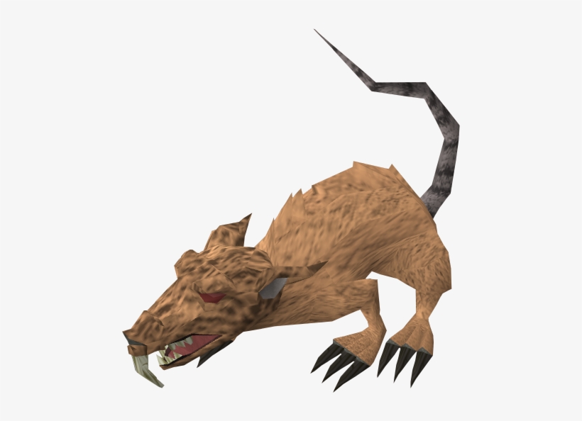 Runescape Giant Rat, transparent png #4205538