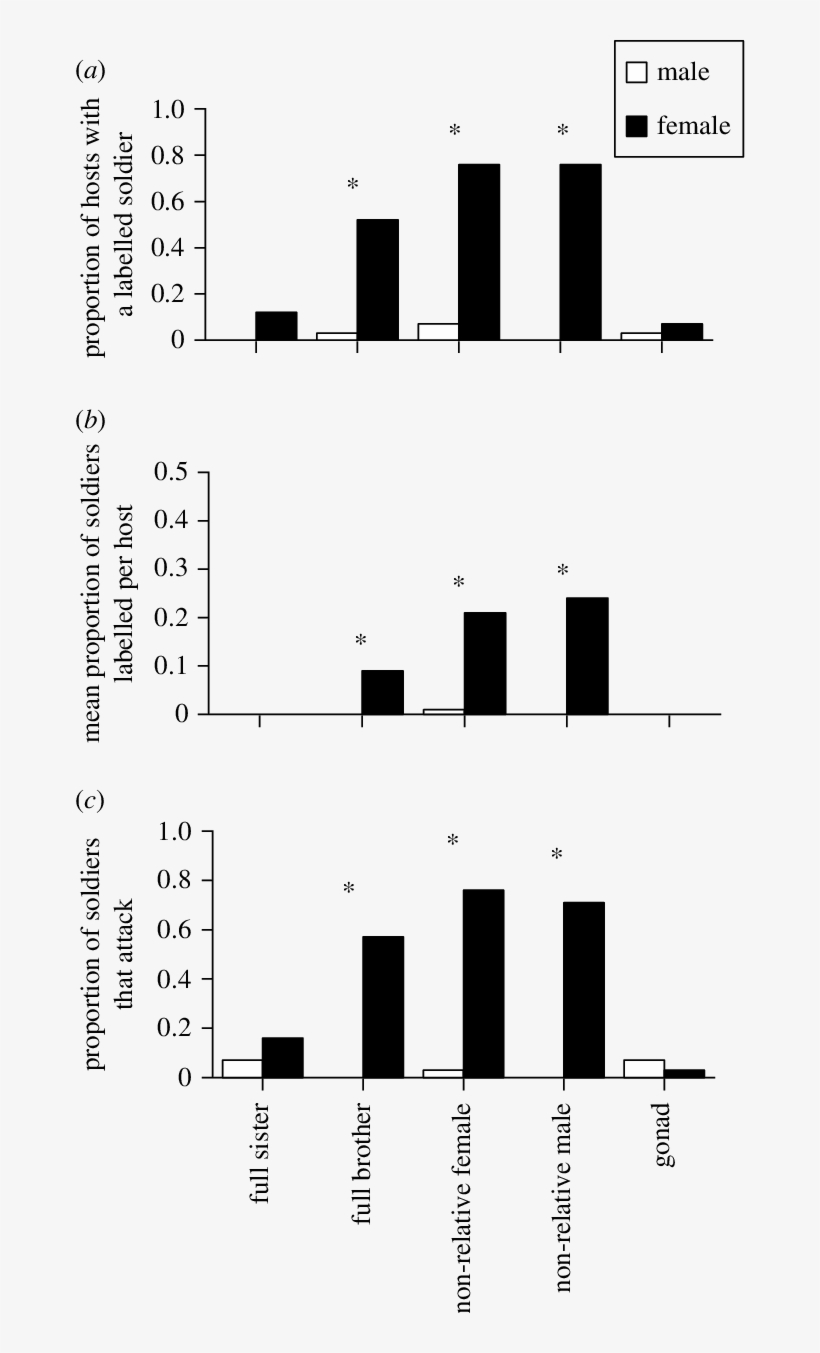 The Proportion Of Male And Female Broods That Contained - Diagram, transparent png #4205578