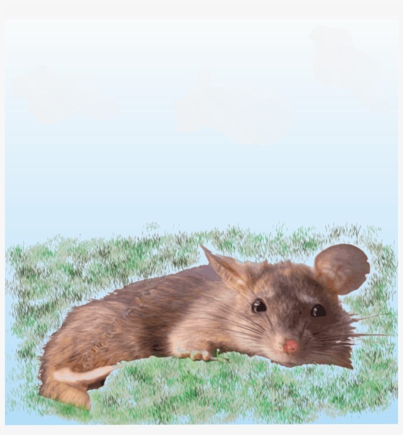This Free Icons Png Design Of Sunbathing Rat, transparent png #4205811