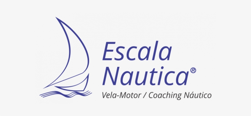 Datos De Contacto - Calligraphy, transparent png #4205860