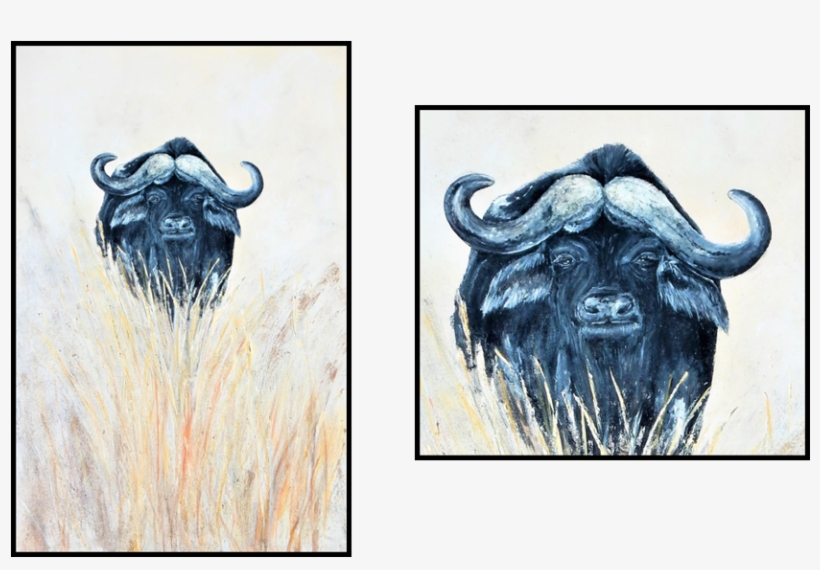 African Buffalo, transparent png #4206208
