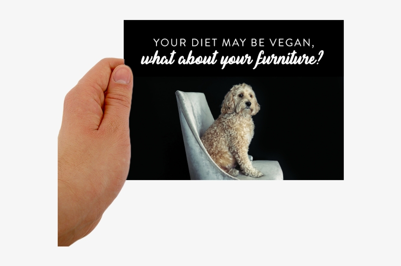 Postcard Template Front, transparent png #4206495