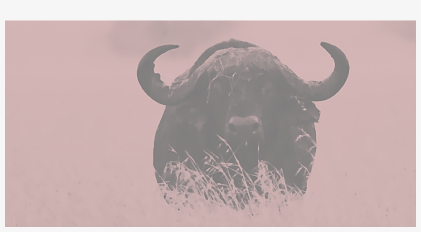 There's A Decision To Make And Only Seconds To Make - Hero, transparent png #4206825