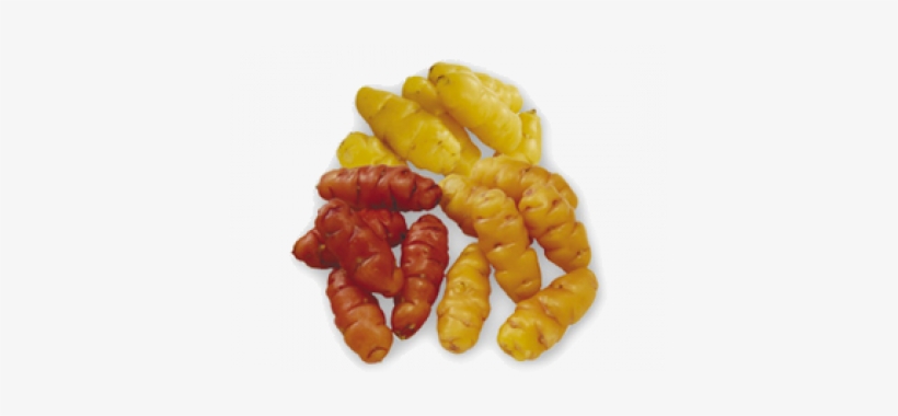 Yams - Vegetables From New Zealand, transparent png #4207012