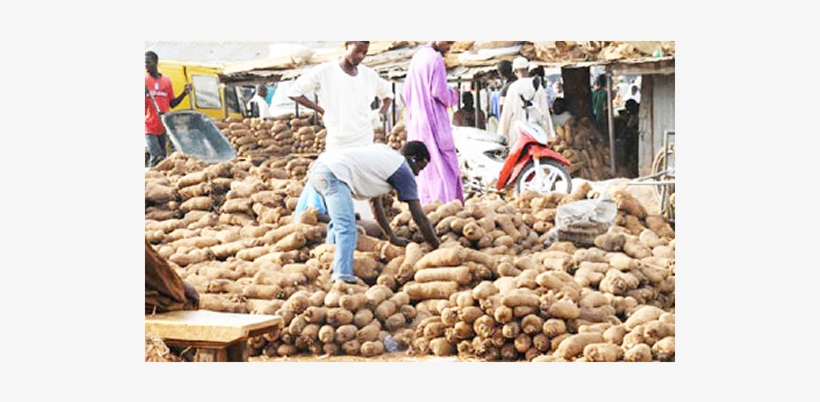 Yam, transparent png #4207291
