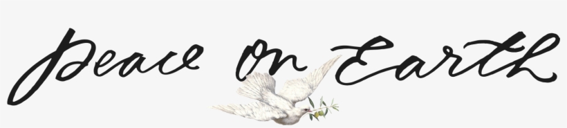 Ibis, transparent png #4207356