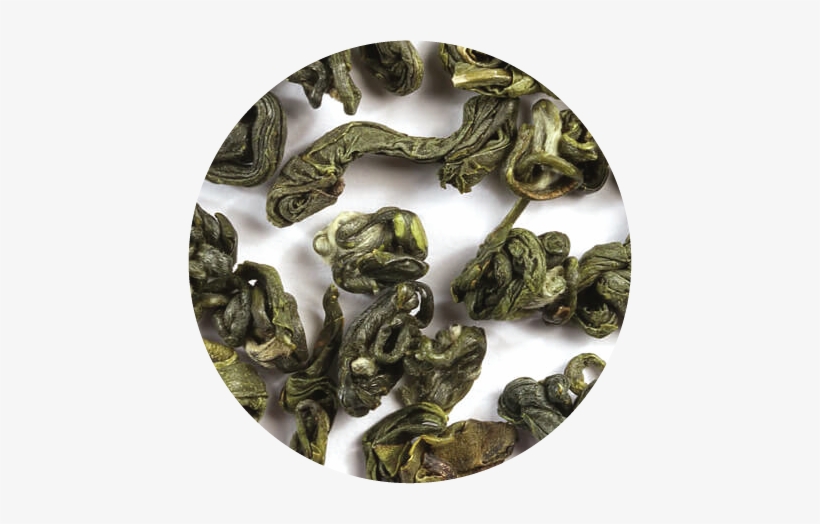 Description - Boa Constrictor, transparent png #4207503