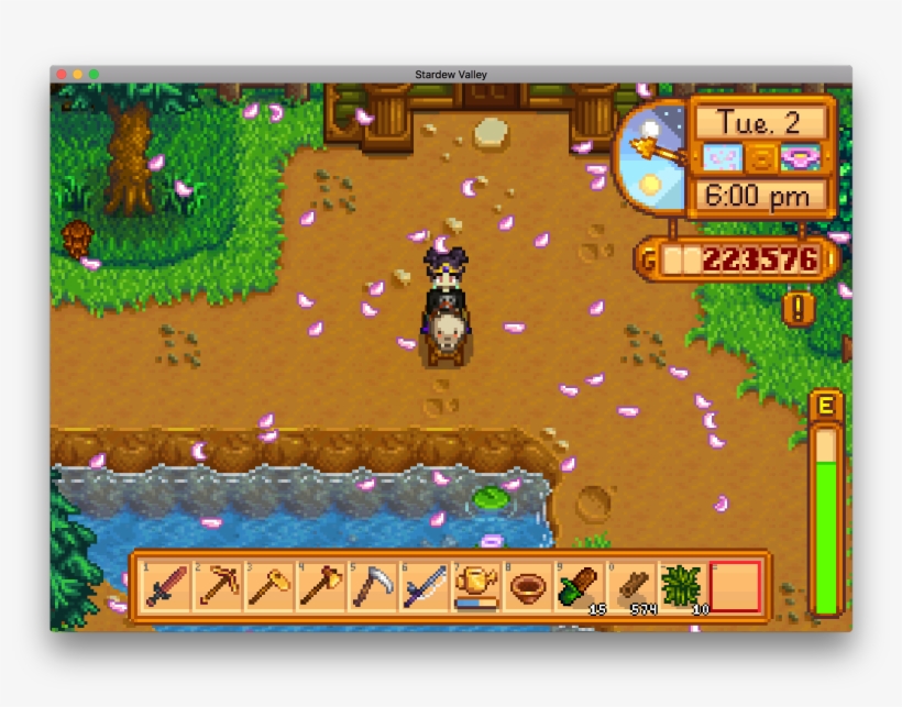 How Come No One Told Me You Could Put Hats On Your - Horse, transparent png #4207598