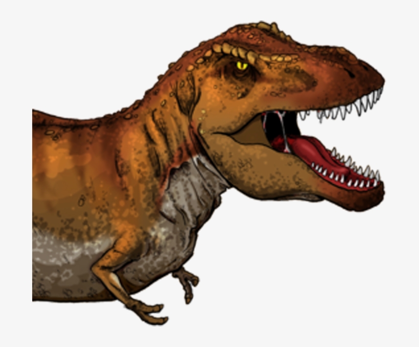 It Is Sized To Fit The Dinosaur Is Sized To Fit The - Tyrannosaurus Rex En Ingles, transparent png #4208846