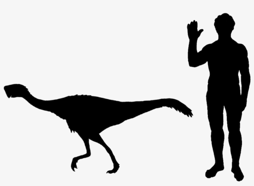 Nemegtomaia Size - Dire Wolf Human Size Comparison, transparent png #4208893