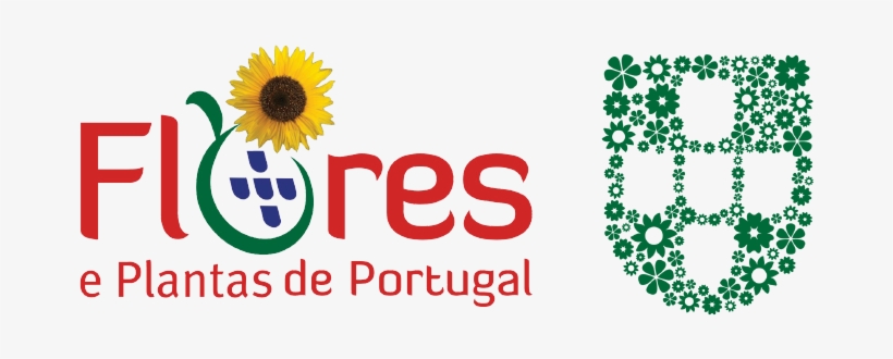 Flores E Plantas De Portugal - Simbolos Da Pascoa E Seus, transparent png #4209311