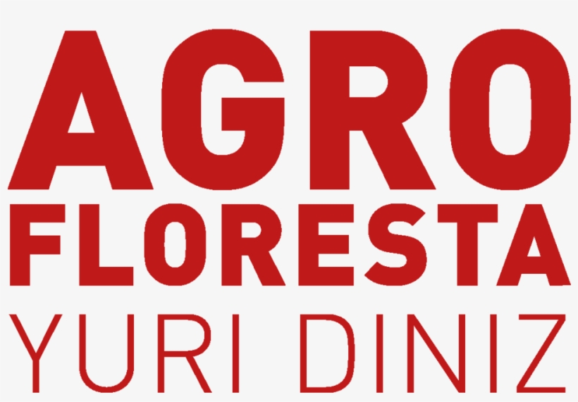 A Função Da Vida No Macroorganismo Planeta Terra - Hamptons Film Festival Logo, transparent png #4209915