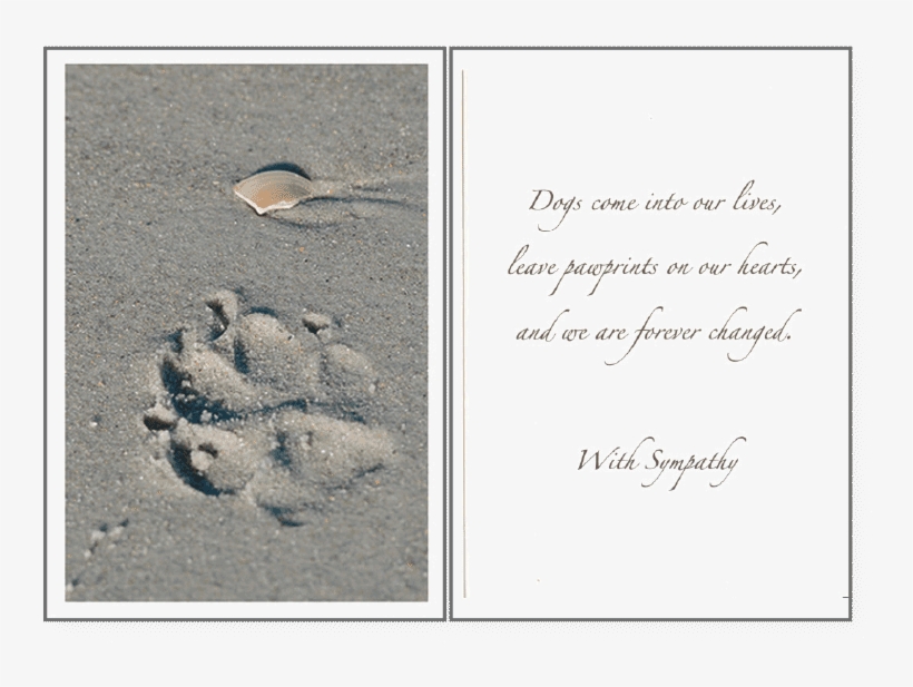 Paw Prints - Pet, transparent png #4209932