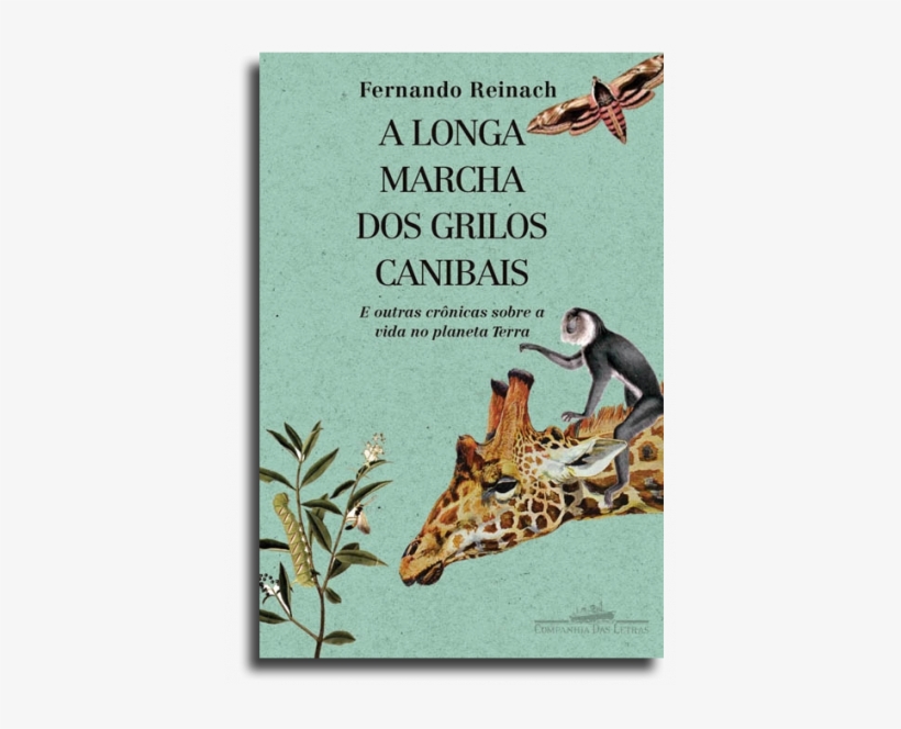 A Longa Marcha Dos Grilos Canibais - Longa Marcha Dos Grilos Canibais, transparent png #4210047