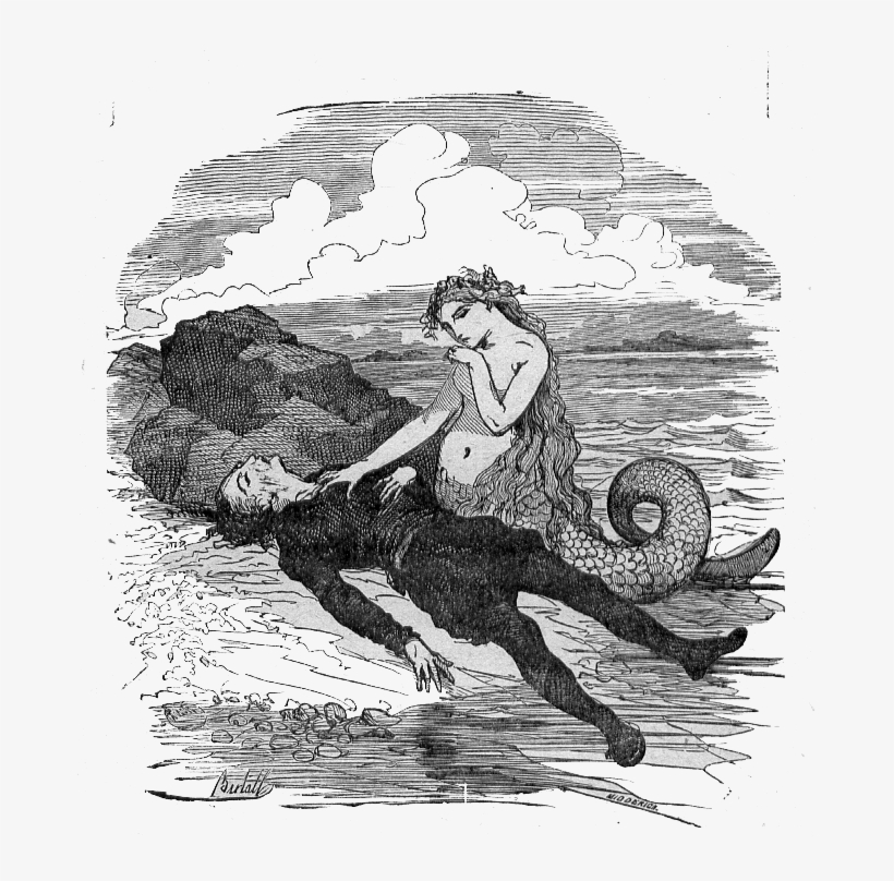 The Little Mermaid Meets The Prince - Little Mermaid Not Disney, transparent png #4210438