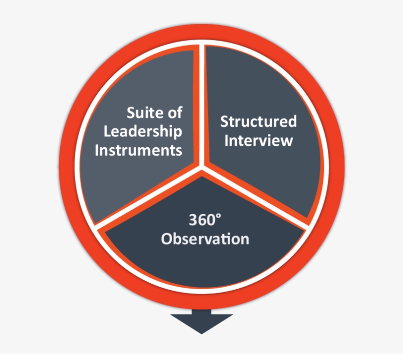 Beampines Executive Assessment & Development Planning - 5 Possible Social Responsibility Initiatives Of Tiger, transparent png #4210780