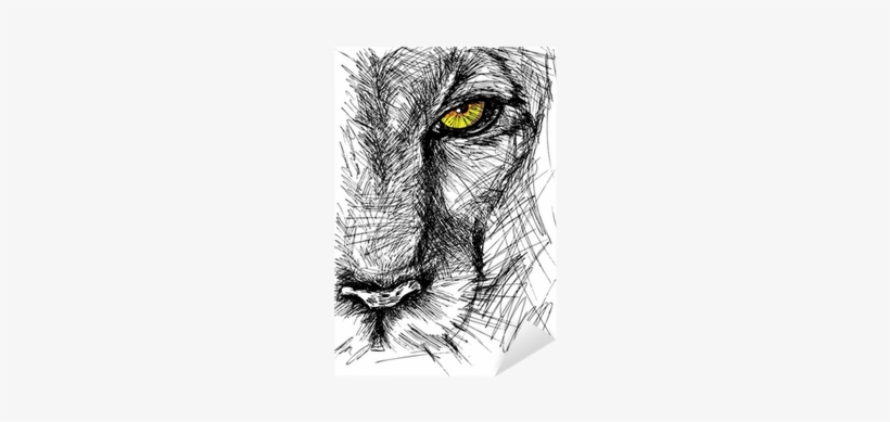 Hand Drawn Sketch Of A Lion Looking Intently At The - Lion Drawing, transparent png #4210976