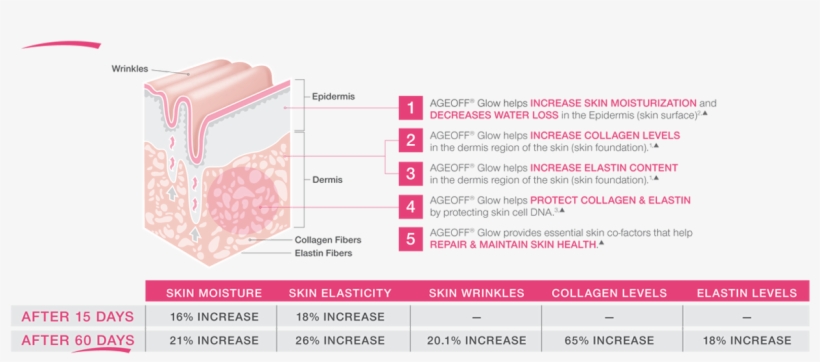 5-steps To Delivering Flawless Skin - Diagram, transparent png #4211099