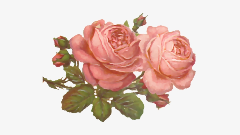 Flores Ilustraciones En Png Para Artesan A Y Dise Os - Вышивка Крестом Бесплатные Схемы, transparent png #4211210