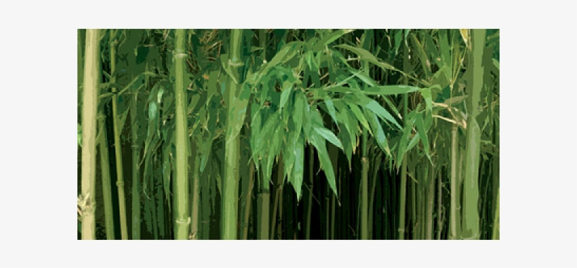 Bambu - Art Poster, transparent png #4211387