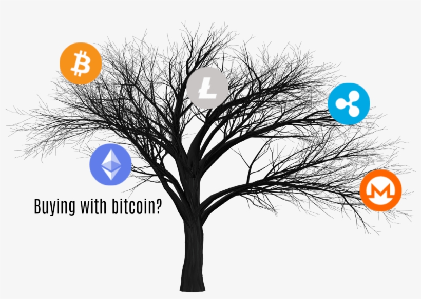 Amazon Go[es], Buying With Bitcoin And Square Comes - Trunk, transparent png #4211453