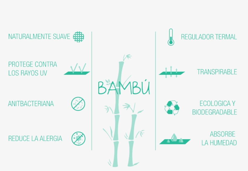 Original Infografia Bambu 02 - Writing, transparent png #4211955