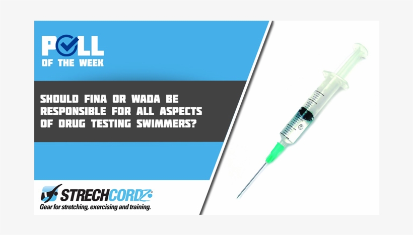 Poll Of The Week - Strechcordz, transparent png #4212007