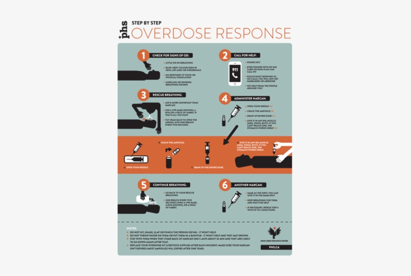 Durc Web Od1, transparent png #4212301