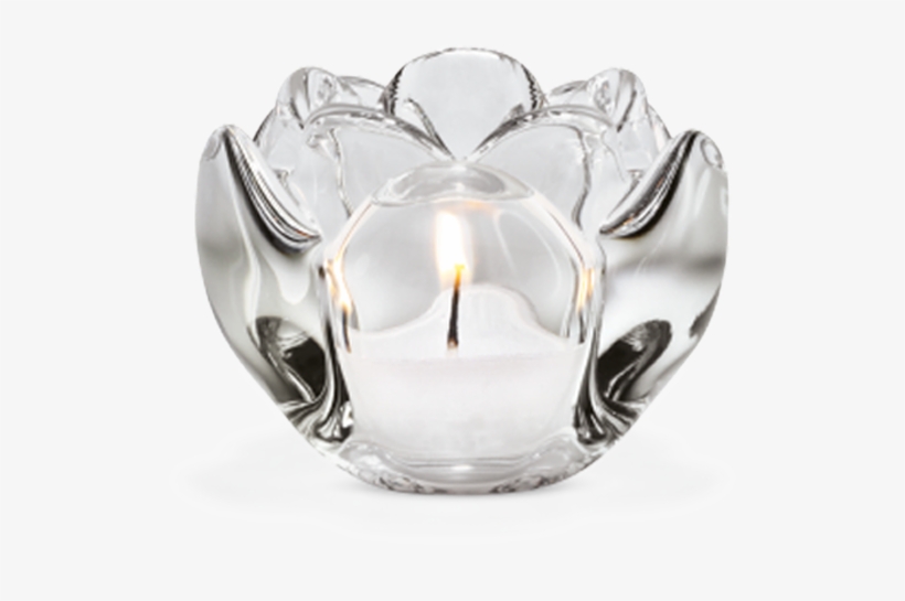 Lotus Tealight Holder Clear H6 5 Lotus - Holmegaard Lotus Tea Light Holder, Small, transparent png #4212302