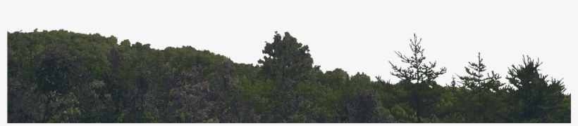 Watch Tower Skyline Skyline - Larch, transparent png #4212639