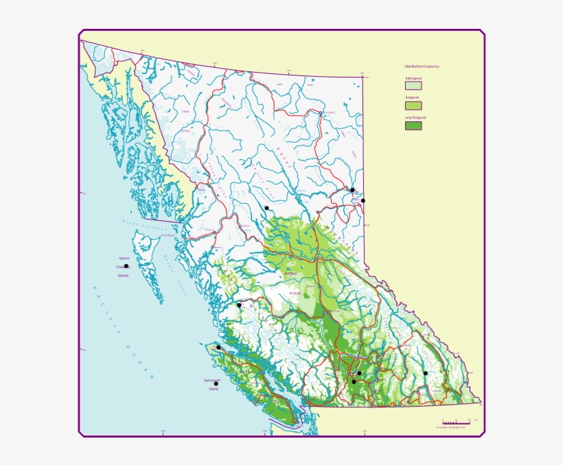 Bc Distribution Of Douglas Fir - Douglas Fir Range Bc, transparent png #4212642