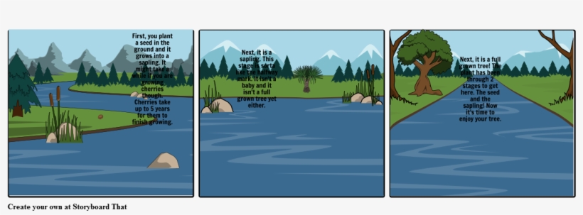 Trees - Jack Pine, transparent png #4212659