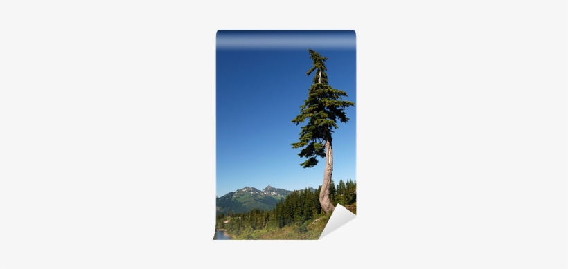Lost Love Found In Eagle Cove (sweet) [book], transparent png #4212815