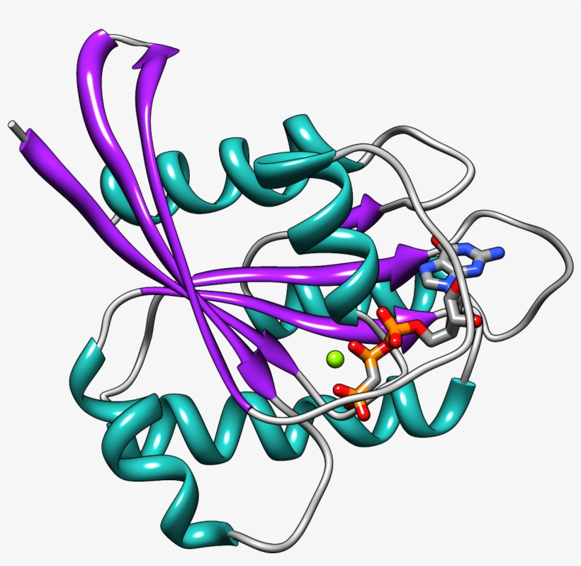 Hras Secondary Structure Ribbon - Ras Protein Secondary Structure, transparent png #4213051