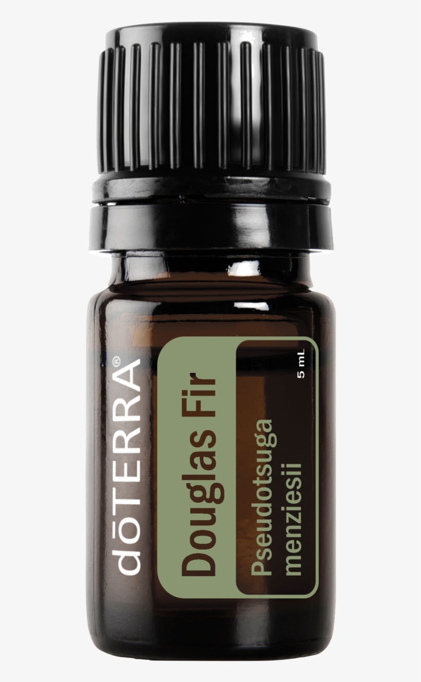 Doterra Douglas Fir Essential Oil 5ml - Doterra Breathe Essential Oil 5ml Dt-breathe-5ml, transparent png #4213164