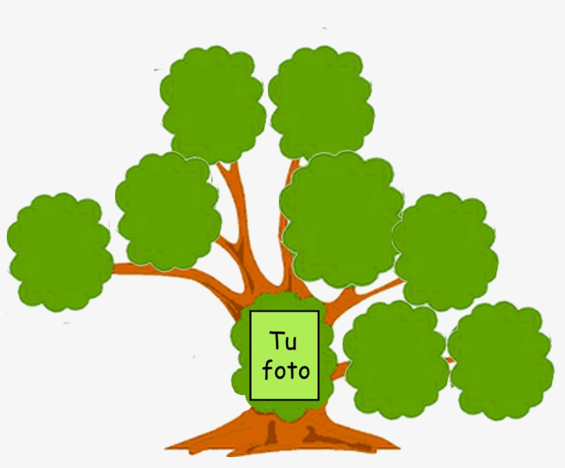 You Might Also Like - Arbol Genealogico De Tu Familia, transparent png #4213249