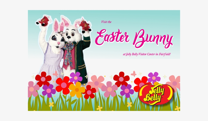 Jelly Belly, transparent png #4213516